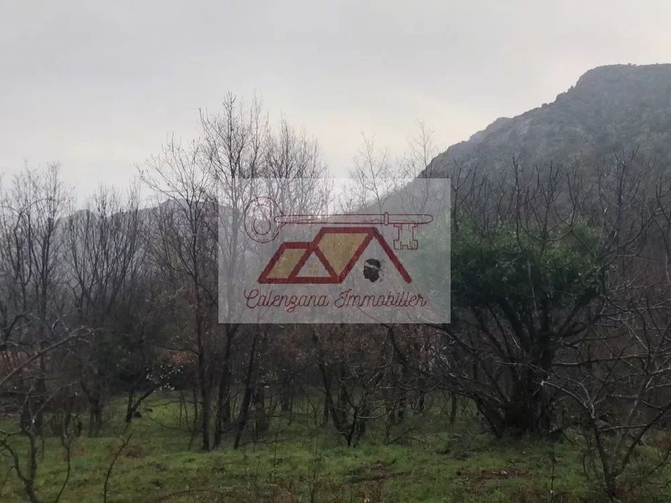 Helårsgrund i Muro, Haute-Corse - foto 4