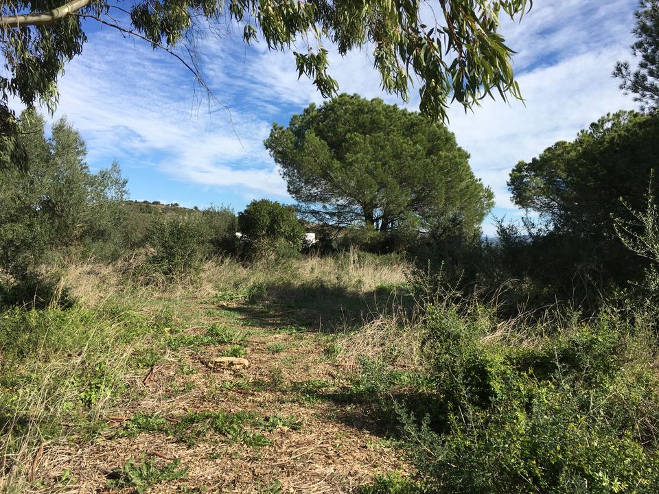 Helårsgrund i Sotogrande, Cadiz - foto 3