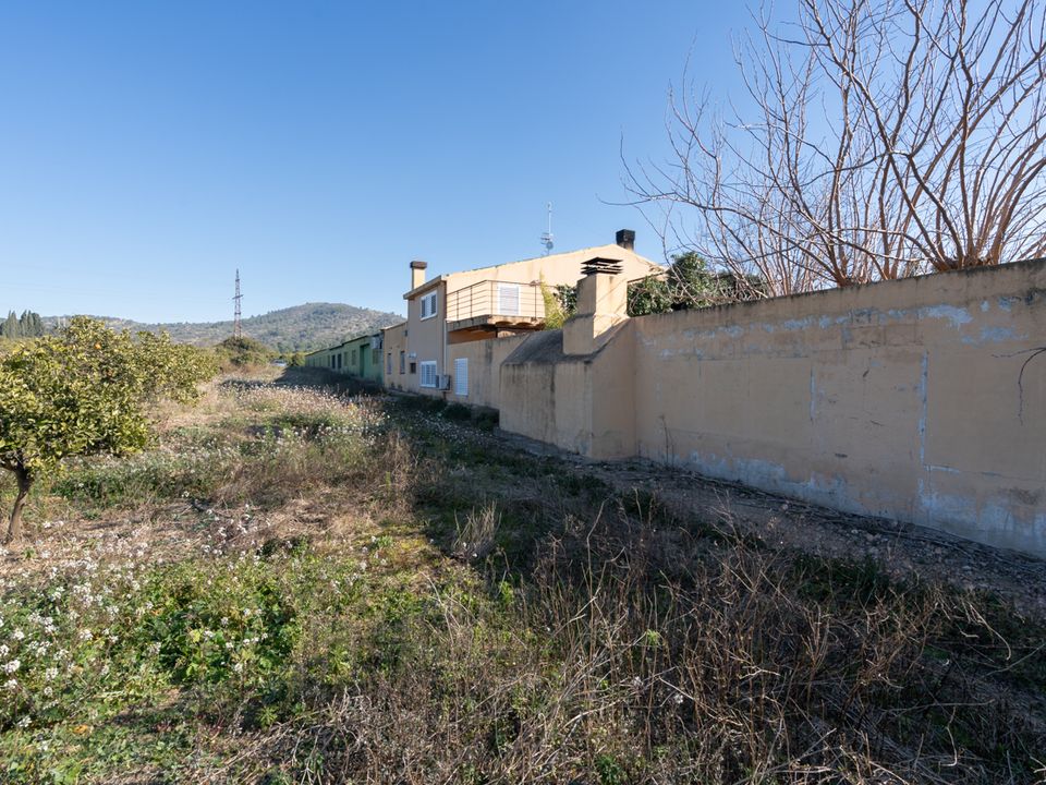 Finca i Tortosa, Tarragona - foto 3