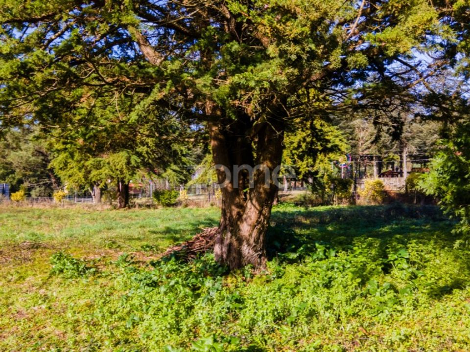 Helårsgrund i Esposende, Braga - foto 1