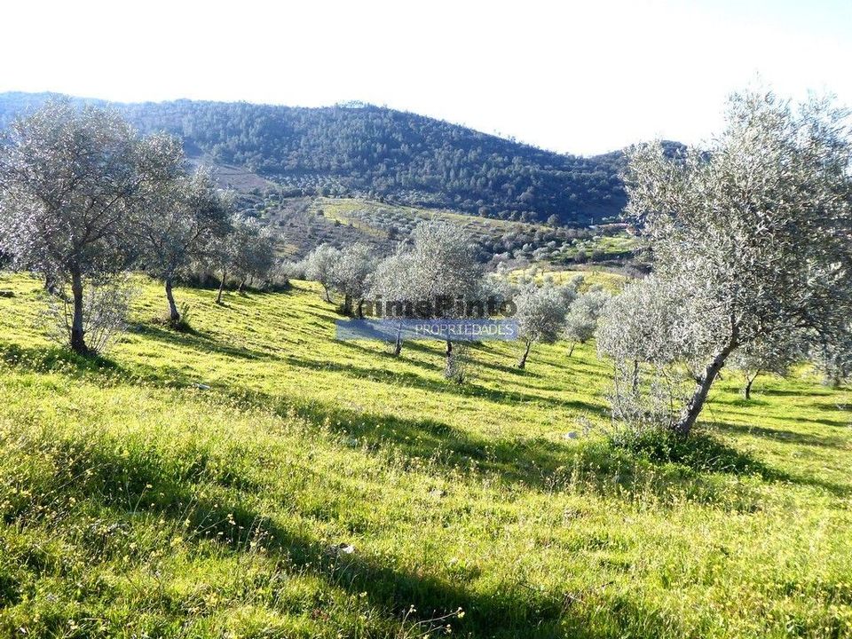 Helårsgrund i Alfandega da Fe, Braganca - foto 1