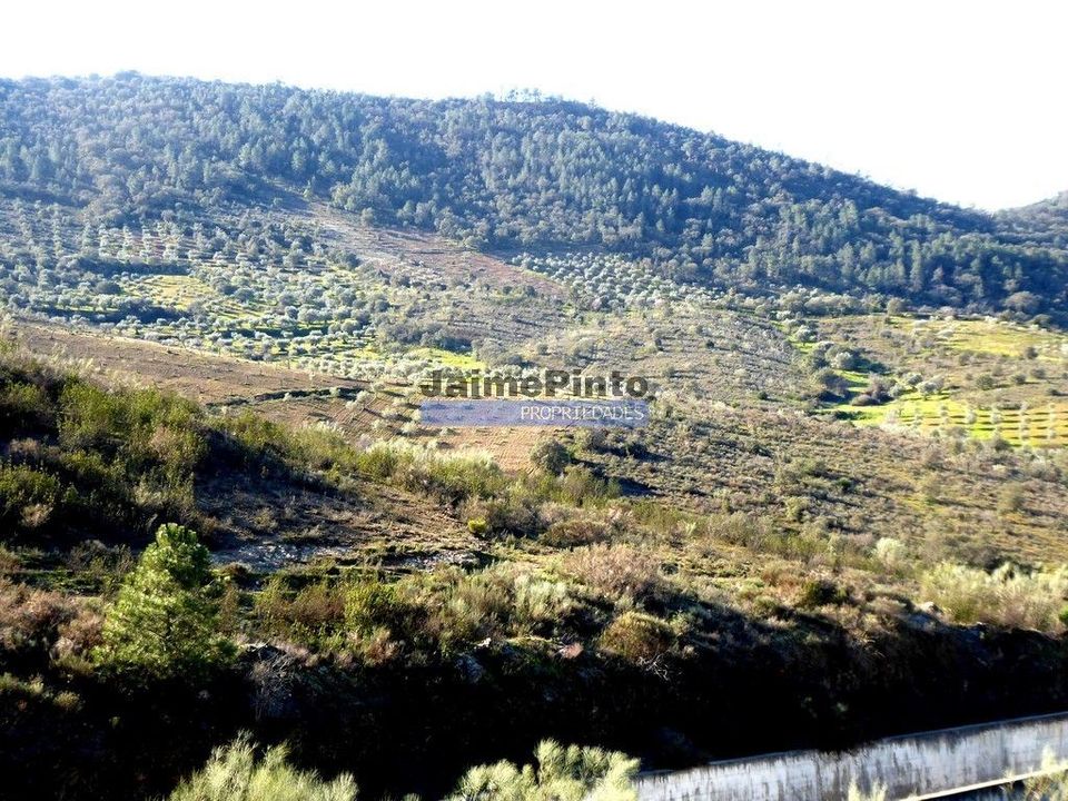 Helårsgrund i Alfandega da Fe, Braganca - foto 2
