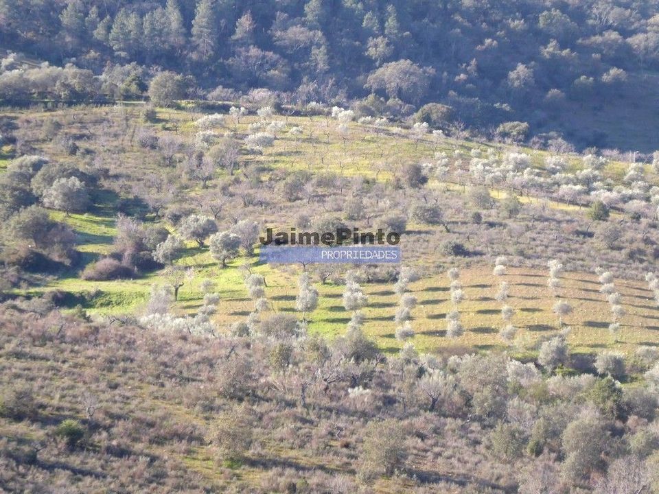 Helårsgrund i Alfandega da Fe, Braganca - foto 4