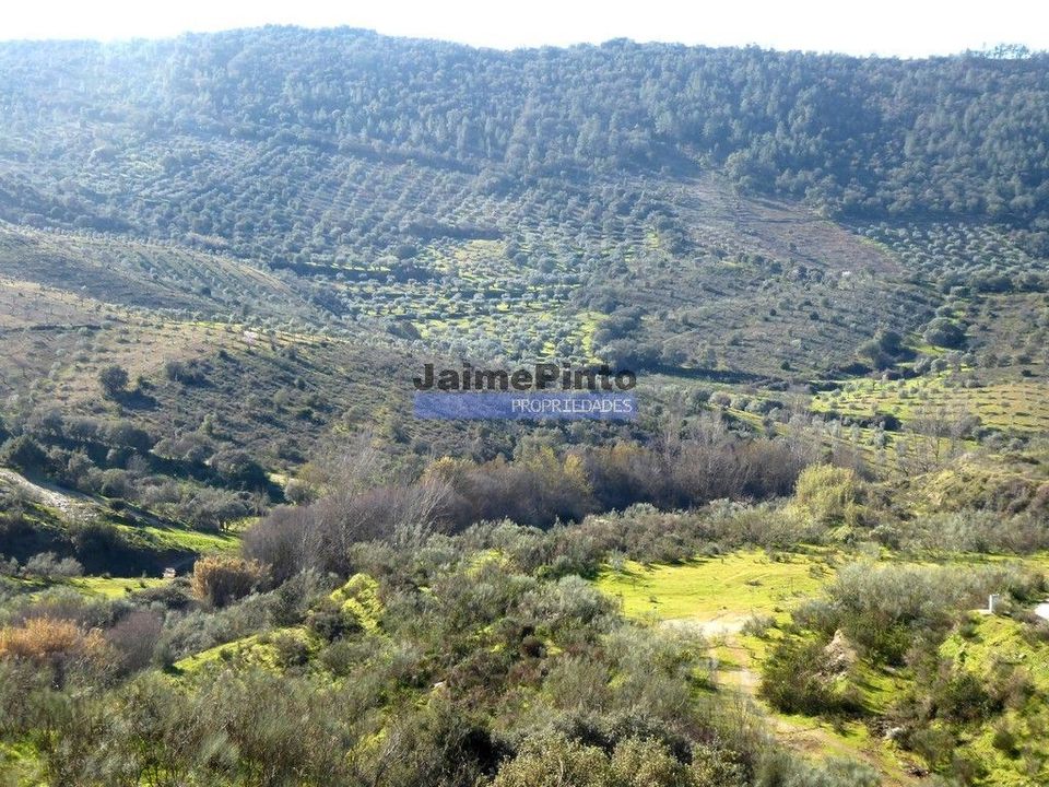 Helårsgrund i Alfandega da Fe, Braganca - foto 5