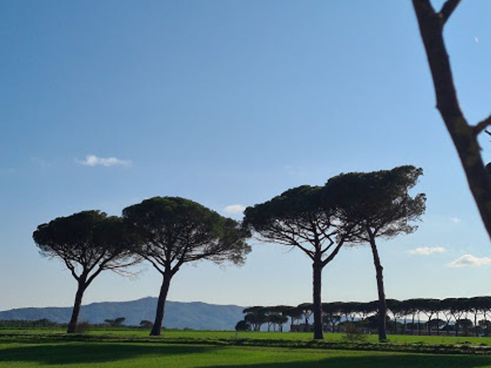 Villa i Castiglione del Lago, Perugia - foto 4