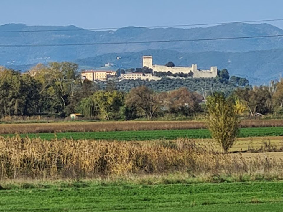 Villa i Castiglione del Lago, Perugia - foto 5