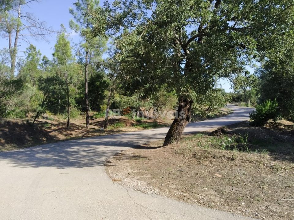 Helårsgrund i Vila Nova da Barquinha, Santarem - foto 2