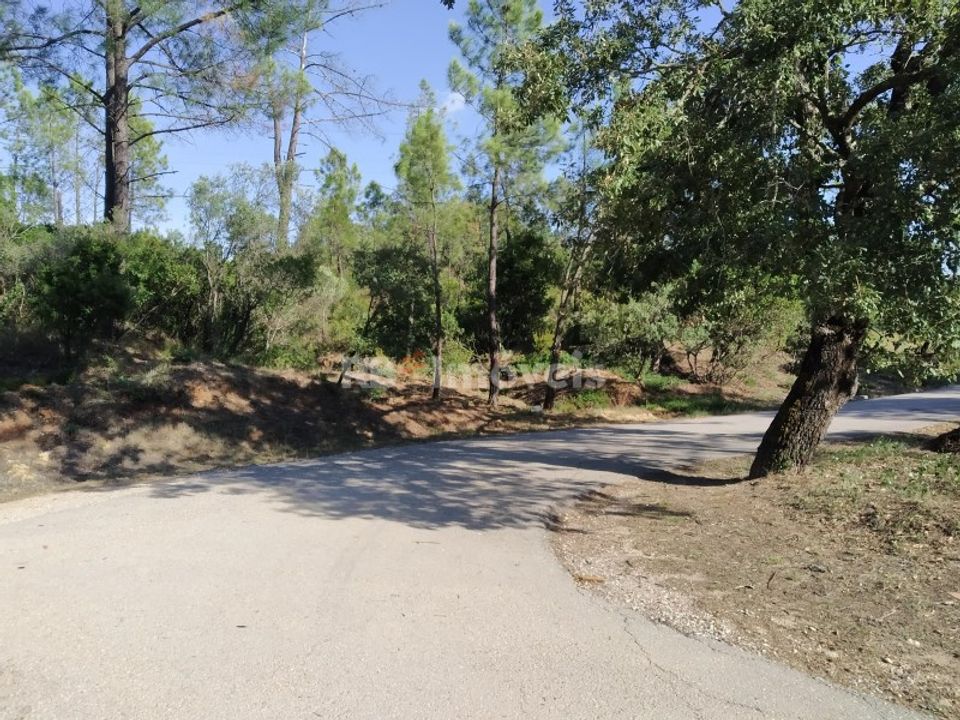Helårsgrund i Vila Nova da Barquinha, Santarem - foto 3