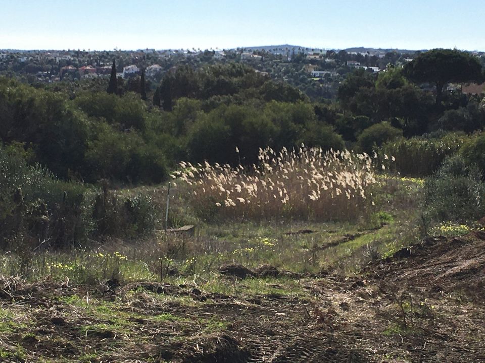Helårsgrund i Sotogrande, Cadiz - foto 4