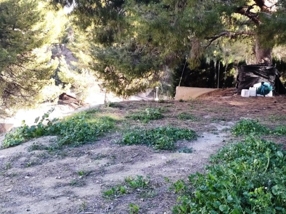 Terra a Cocentaina, Alicante - foto 1