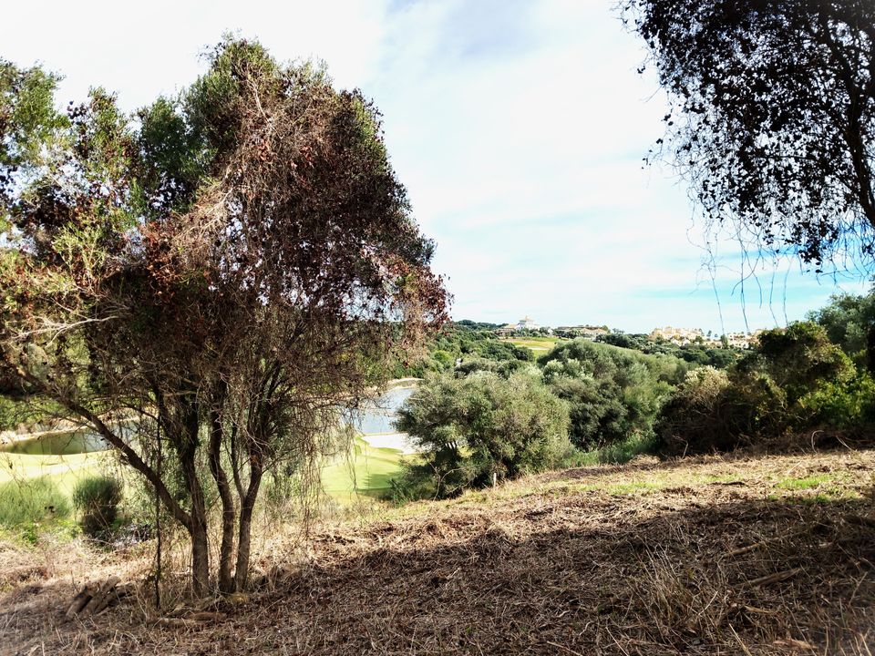 Helårsgrund i Sotogrande, Cadiz - foto 2