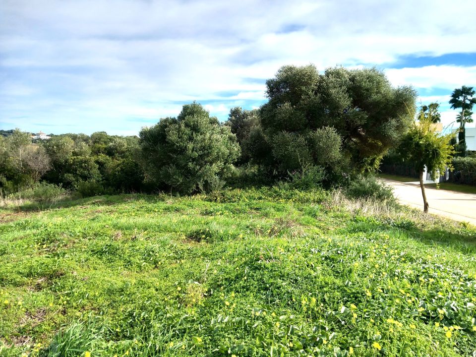 Helårsgrund i Sotogrande, Cadiz - foto 3