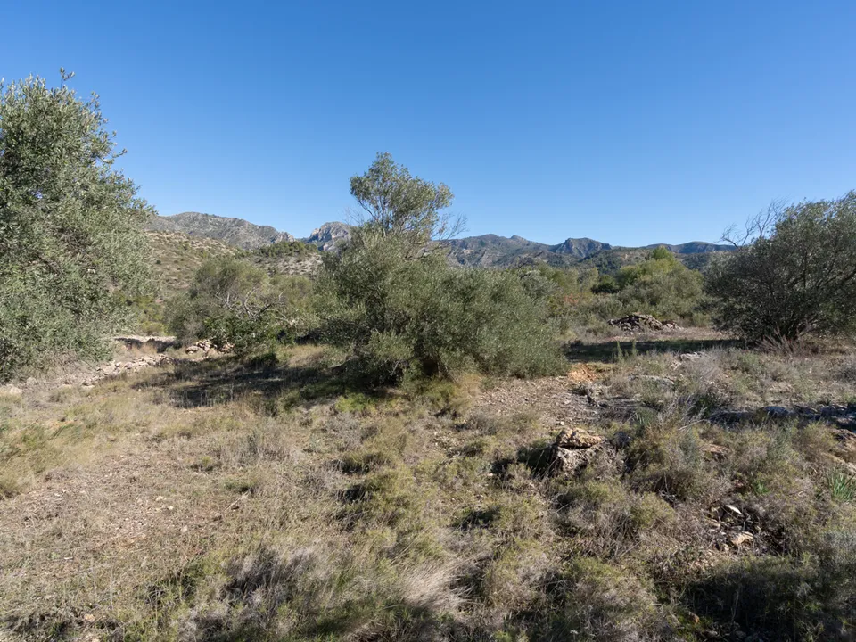 Finca i Tivenys, Tarragona - foto 3