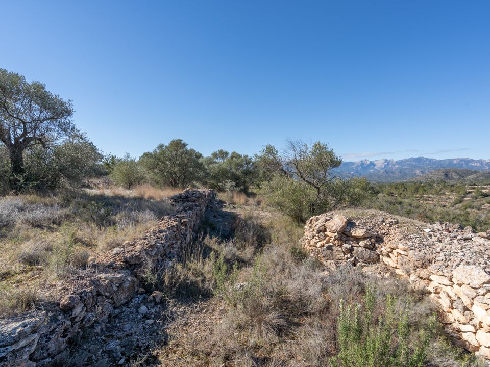 Finca i Tivenys, Tarragona - foto 4