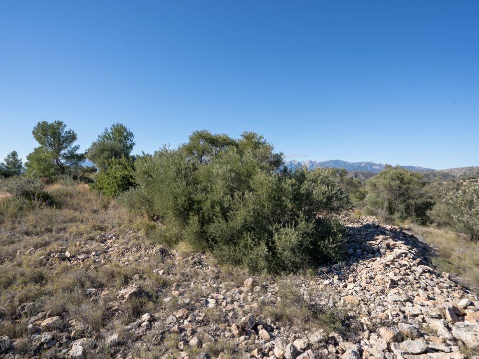 Finca i Tivenys, Tarragona - foto 5