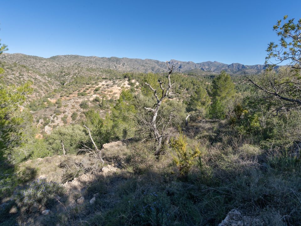 Finca i Tivenys, Tarragona - foto 5