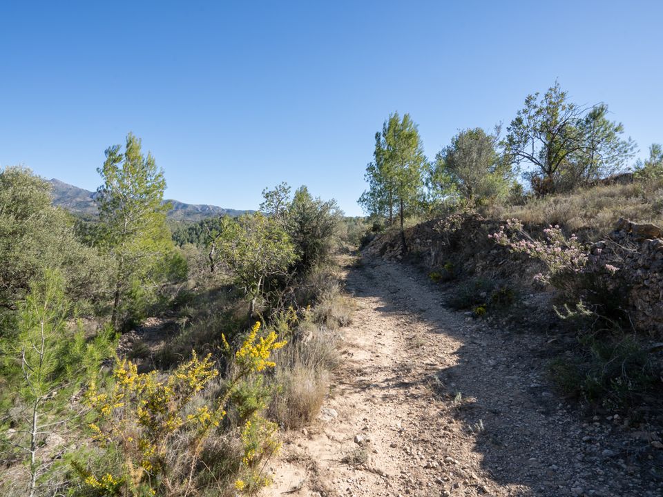 Finca i Tivenys, Tarragona - foto 4