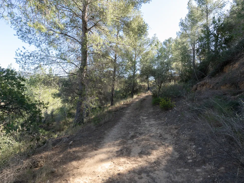 Finca i Tivenys, Tarragona - foto 2