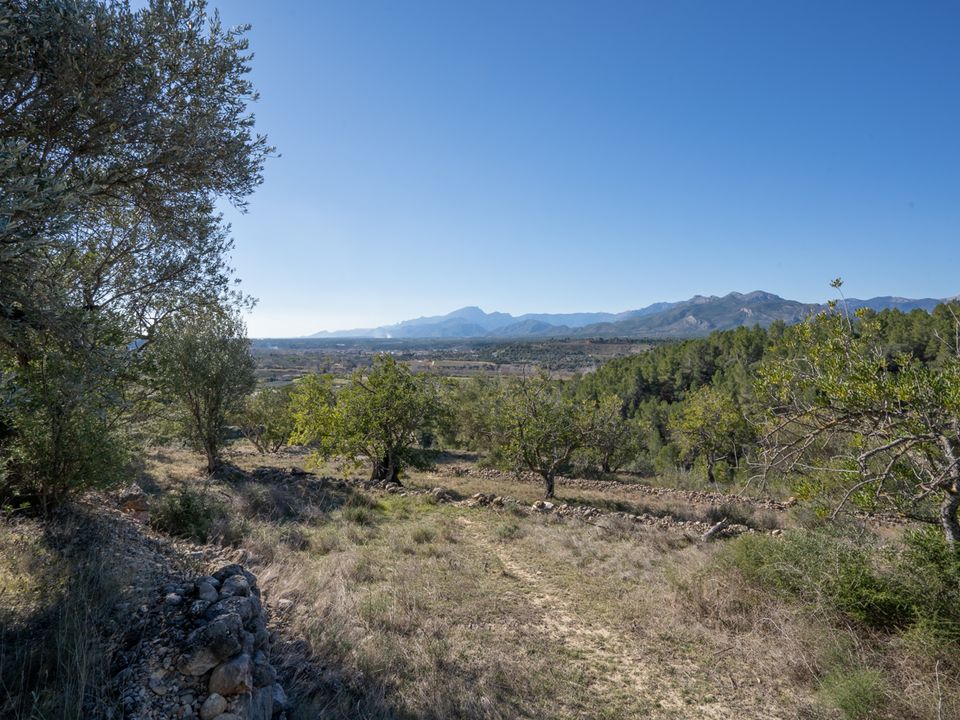 Finca i Tivenys, Tarragona - foto 5