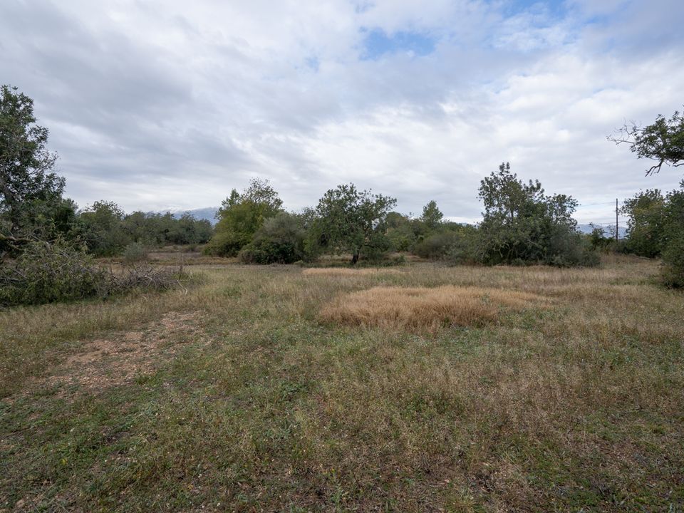 Finca i Roquetes, Tarragona - bilde 3