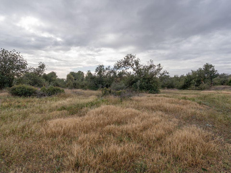 Finca i Roquetes, Tarragona - bilde 5