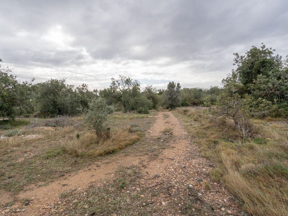 Finca i Roquetes, Tarragona - bilde 4