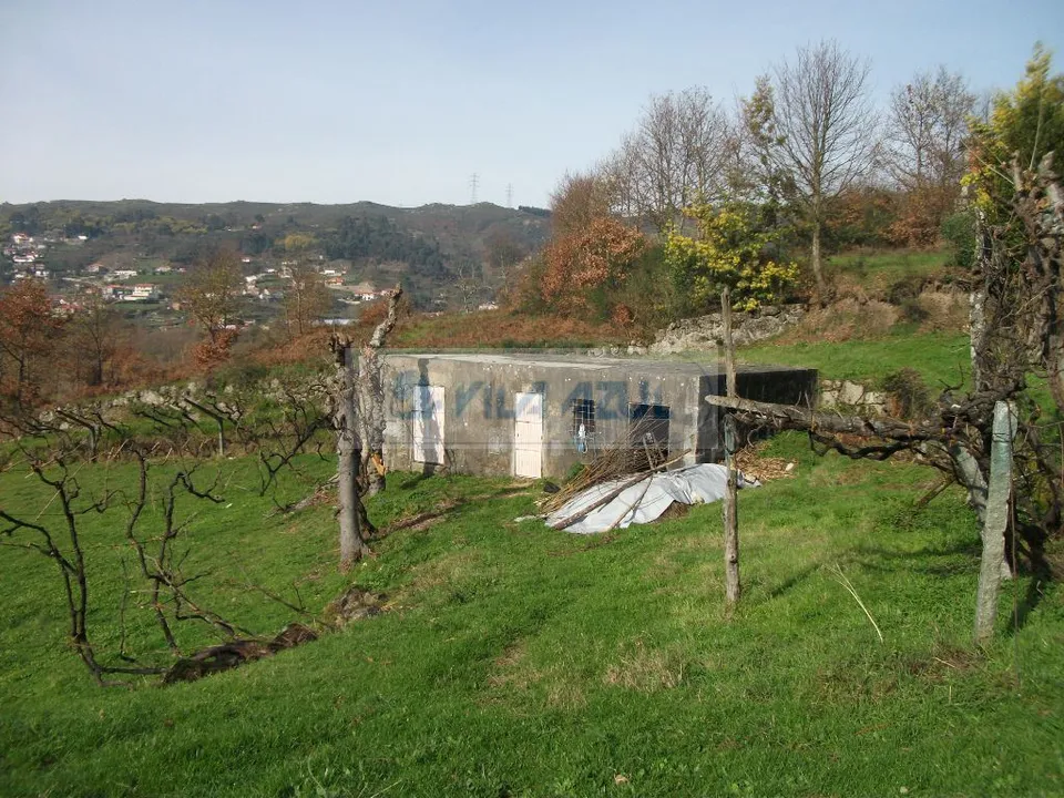 Farm i Baiao, Porto - foto 1
