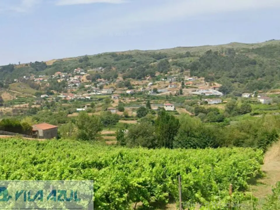 Farm i Baiao, Porto - foto 2