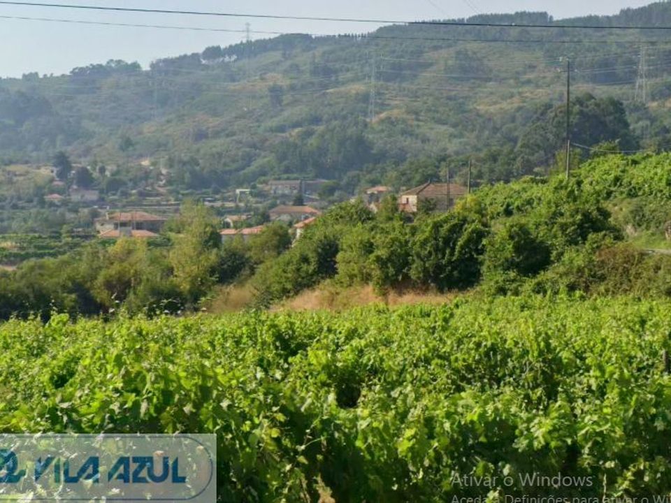 Farm i Baiao, Porto - foto 3