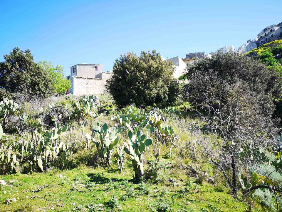 Masia a Giuliana, Palermo - foto 5