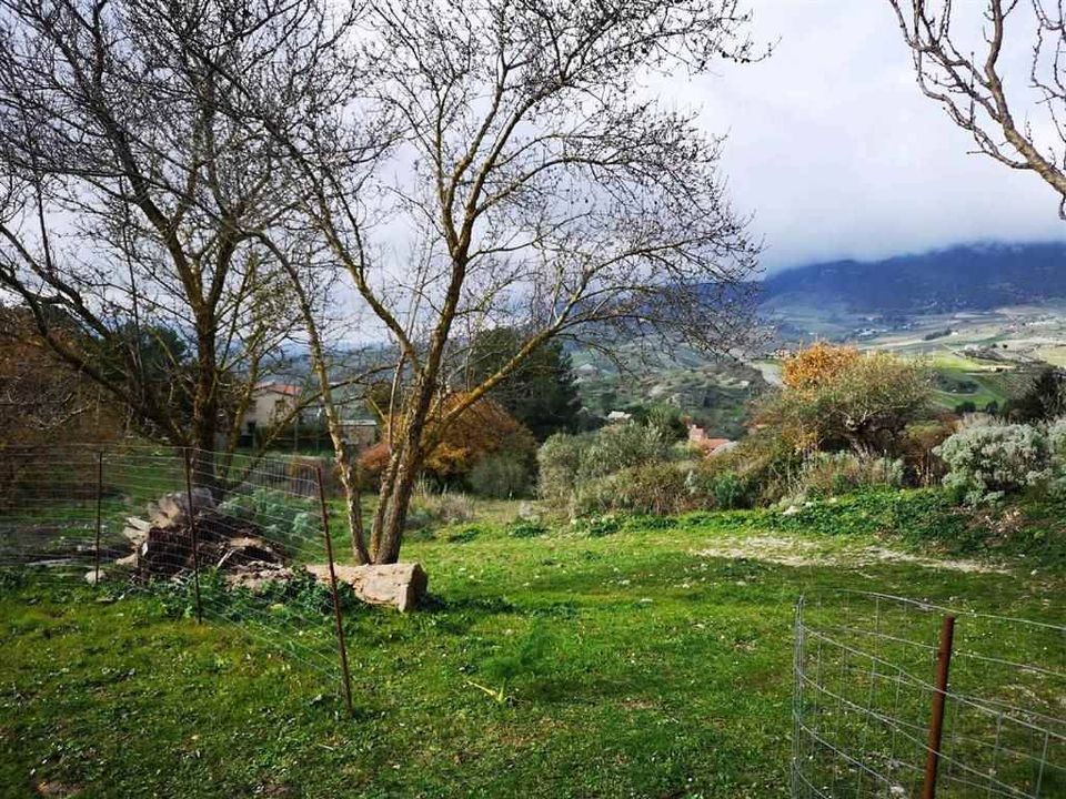 Villa i Giuliana, Palermo - foto 4