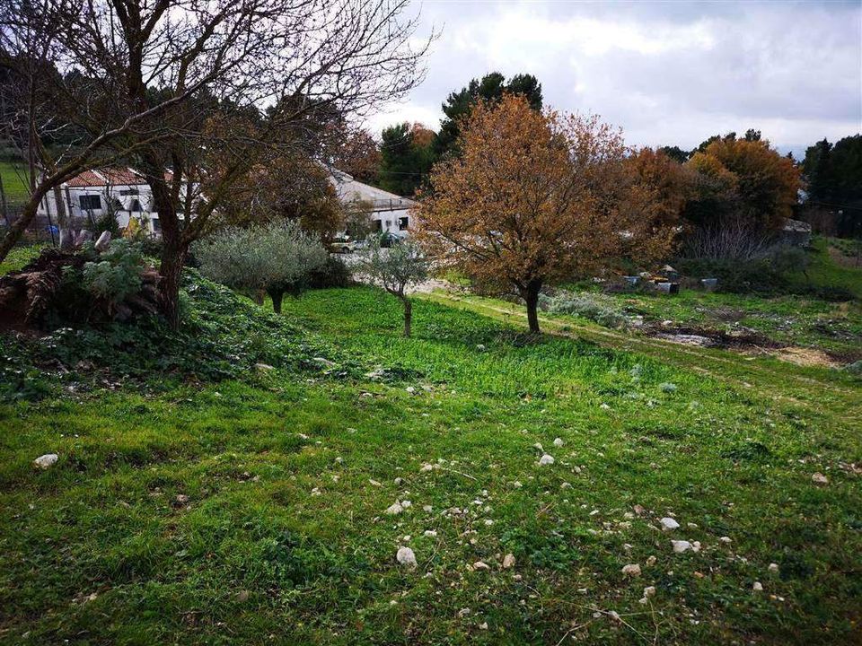 Villa i Giuliana, Palermo - foto 5