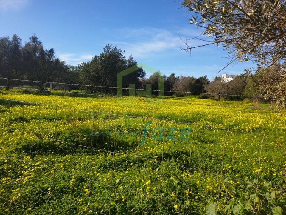 Helårsgrund i Armacao de Pera, Faro - foto 2