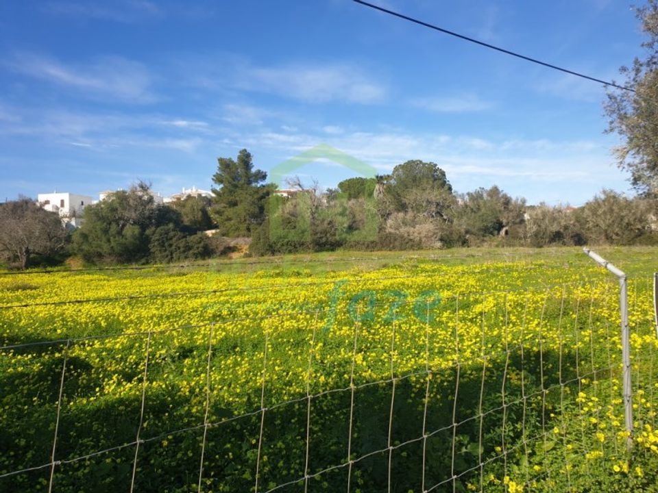Helårsgrund i Armacao de Pera, Faro - foto 3