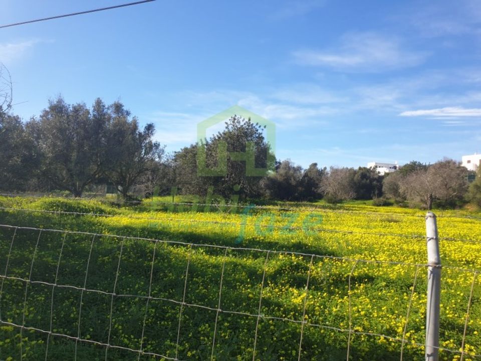 Helårsgrund i Armacao de Pera, Faro - foto 4