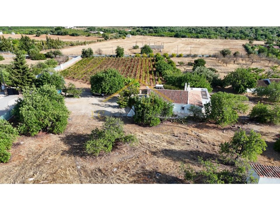 Farm i Luz de Tavira, Faro - foto 2