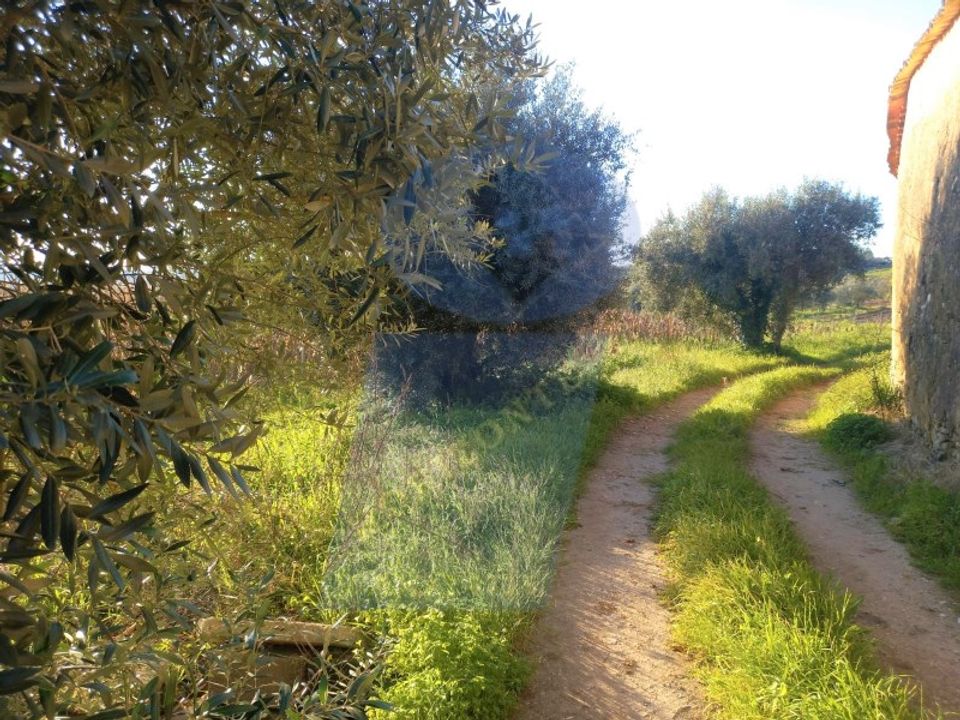 Helårsgrund i Anadia, Aveiro - foto 2