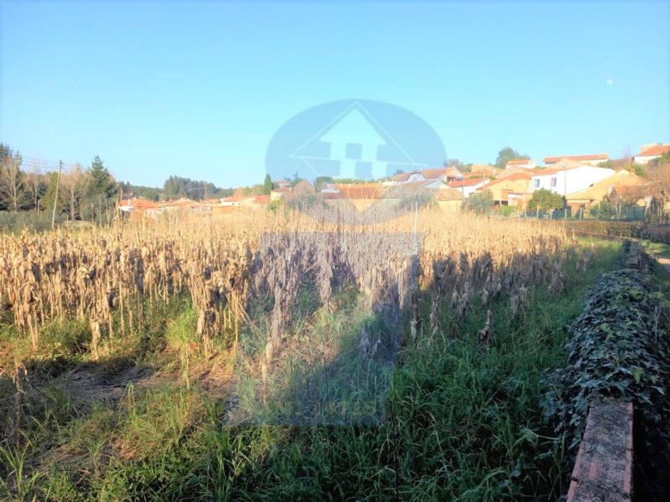 Helårsgrund i Anadia, Aveiro - foto 3