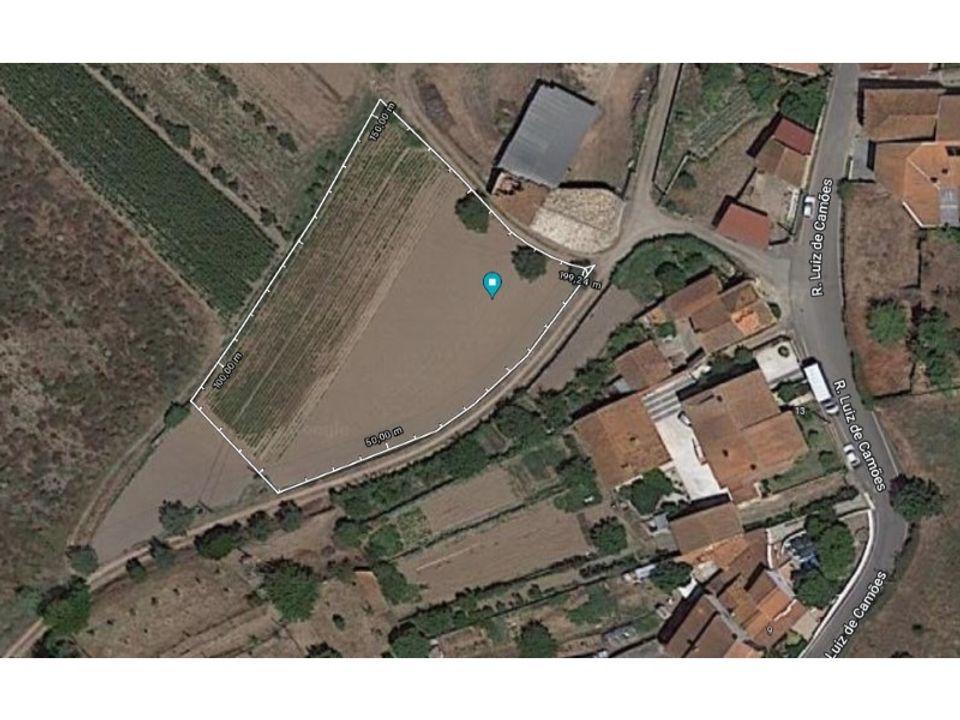 Helårsgrund i Anadia, Aveiro - foto 5