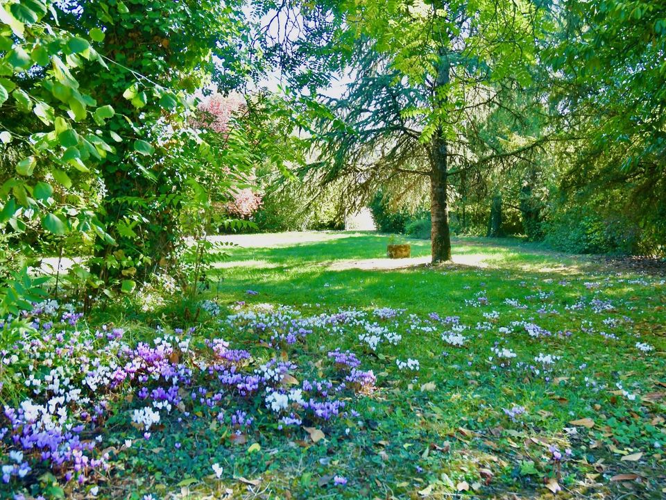 Villa i Ruffec, Charente - foto 2