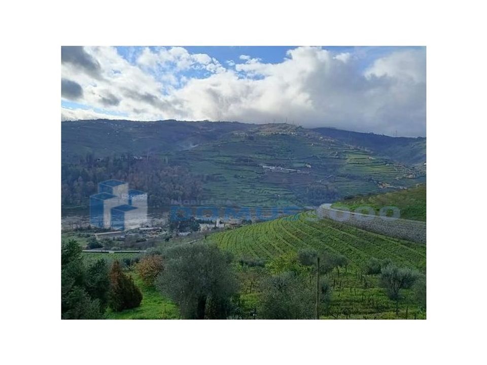 Farm i Peso da Regua, Vila Real - foto 1