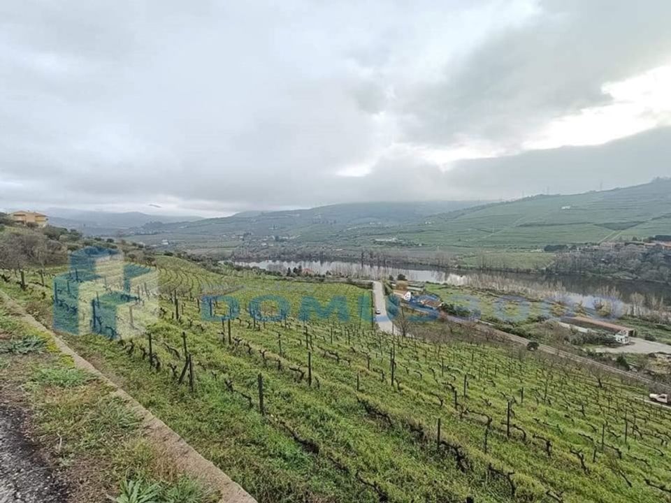 Farm i Peso da Regua, Vila Real - foto 2