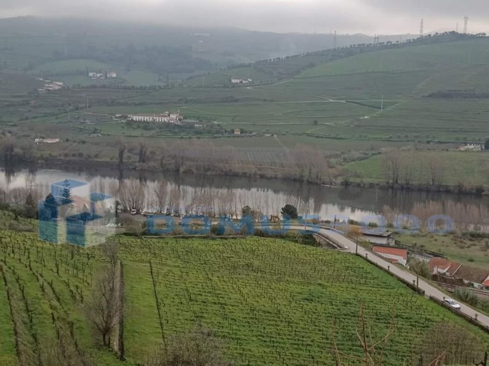 Farm i Peso da Regua, Vila Real - foto 3