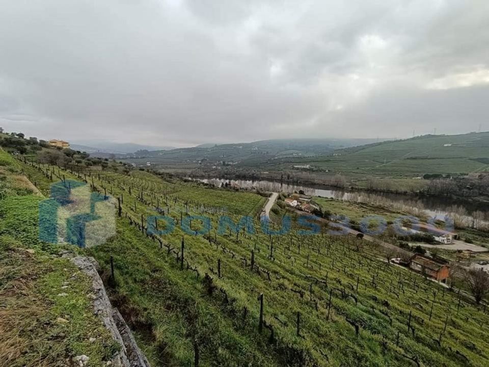 Farm i Peso da Regua, Vila Real - foto 4