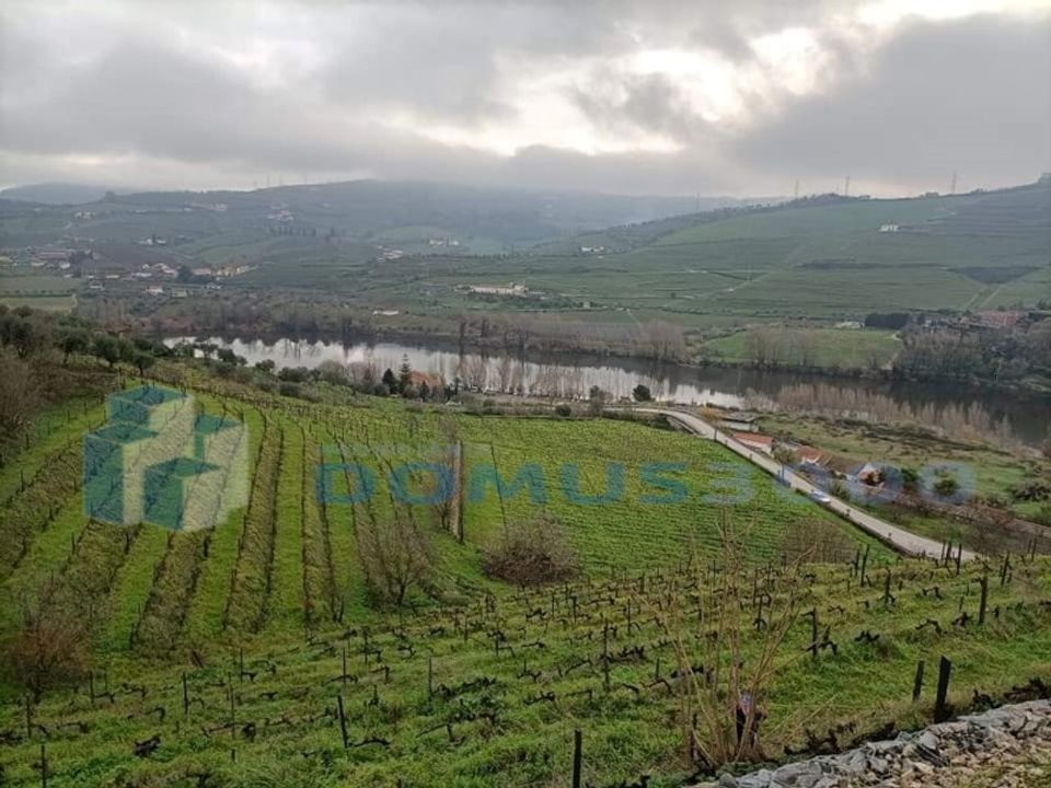 Farm i Peso da Regua, Vila Real - foto 5