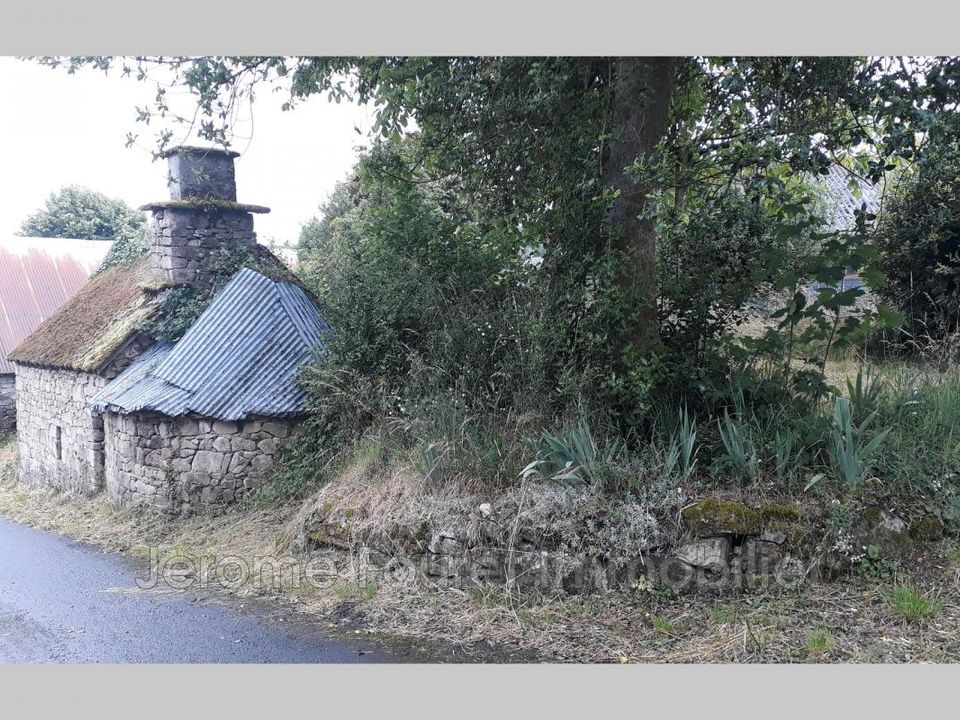 Siedlisko: Sarran, Correze – zdjęcie 3