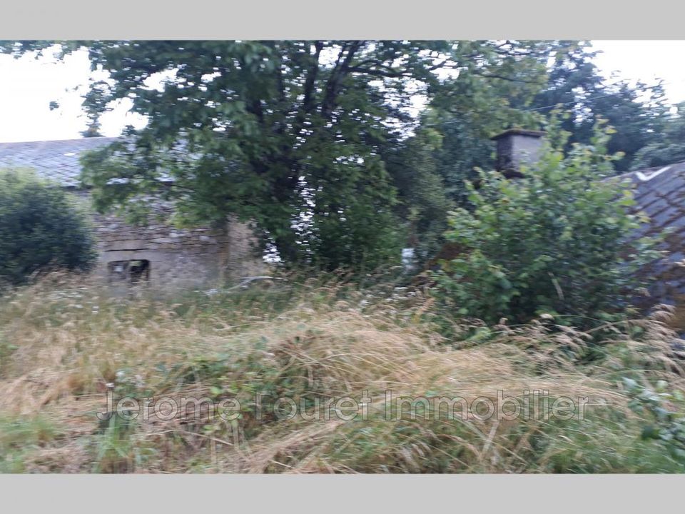 Siedlisko: Sarran, Correze – zdjęcie 5