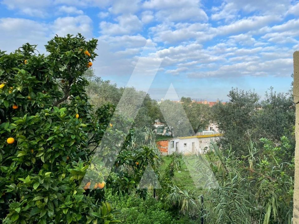 Helårsgrund i Seixal, Setubal - foto 5