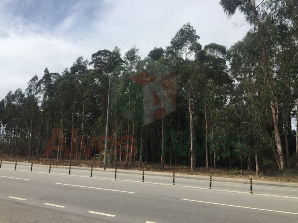 Terra a Maia, Porto - foto 2