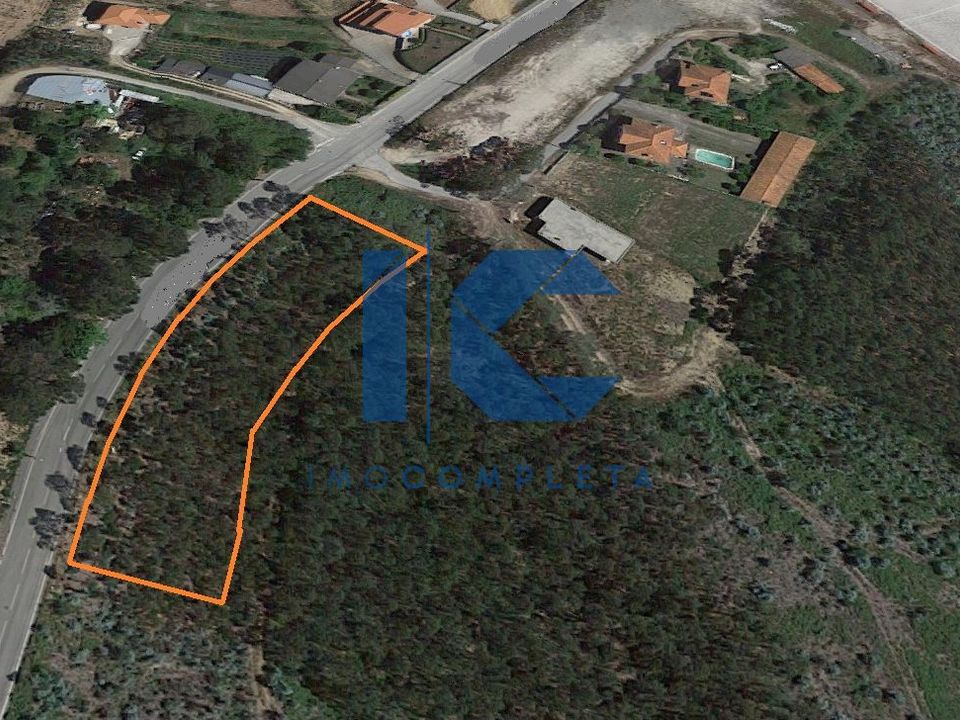 Terra em Sever do Vouga, Aveiro - foto 1